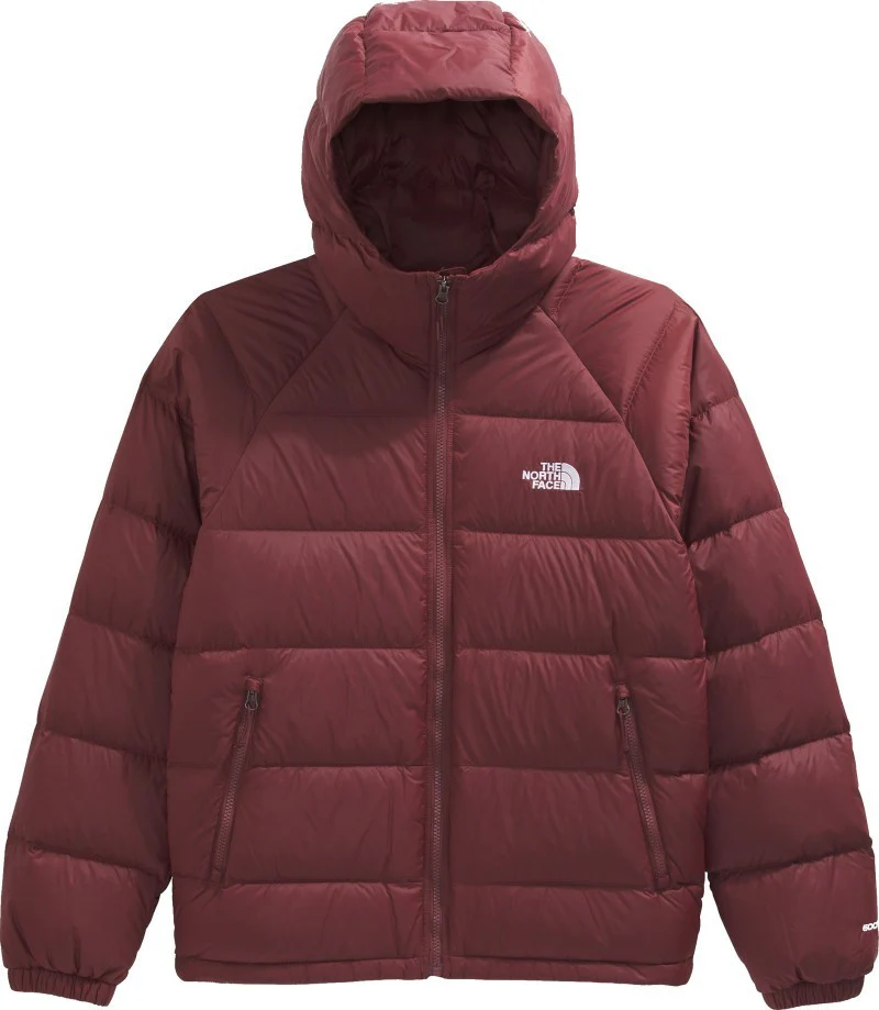 Hydrenalite Down Hoodie - Mens - Image 28