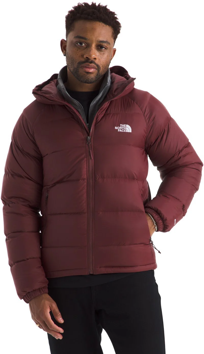 Hydrenalite Down Hoodie - Mens - Image 29