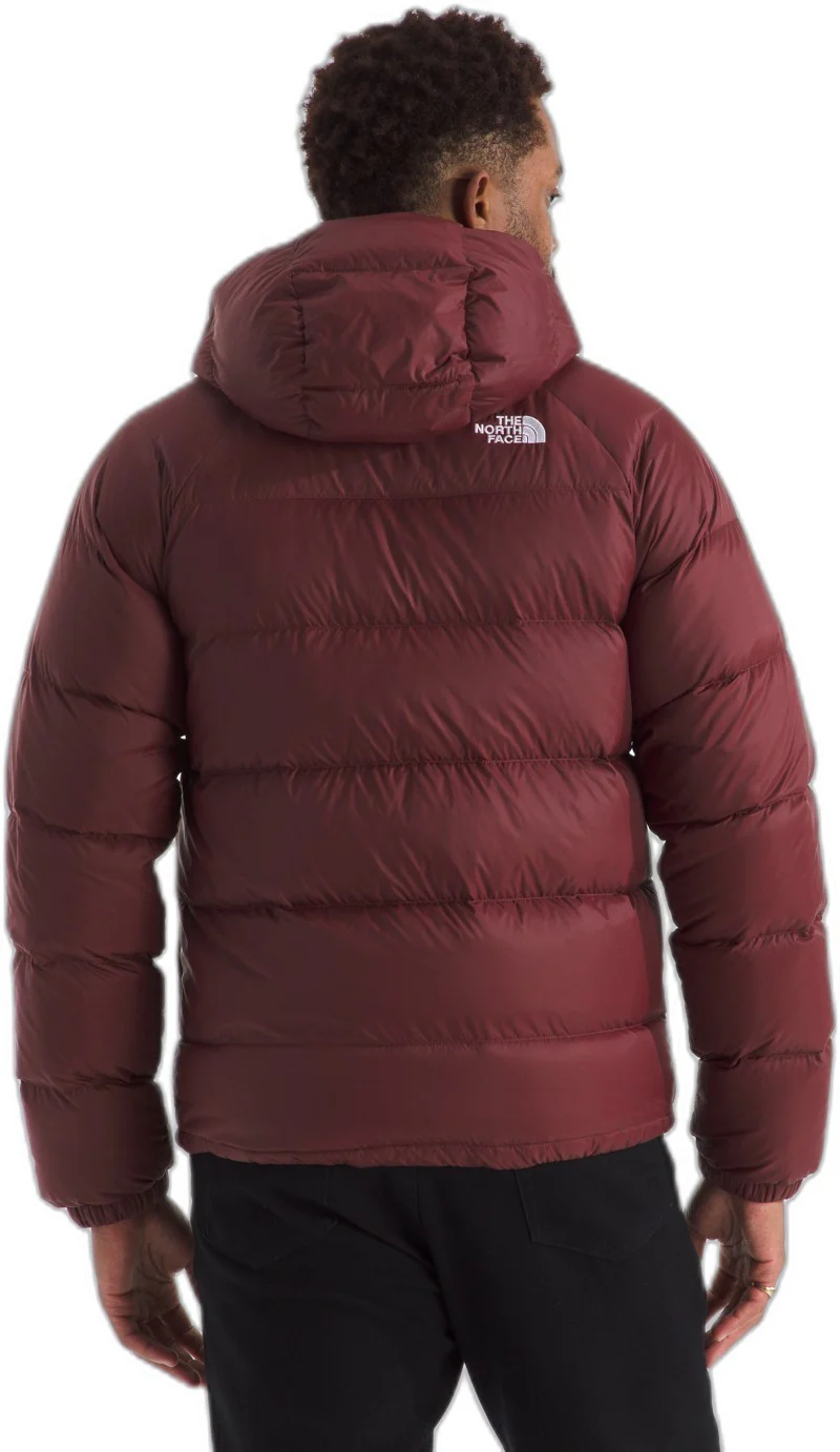 Hydrenalite Down Hoodie - Mens - Image 31