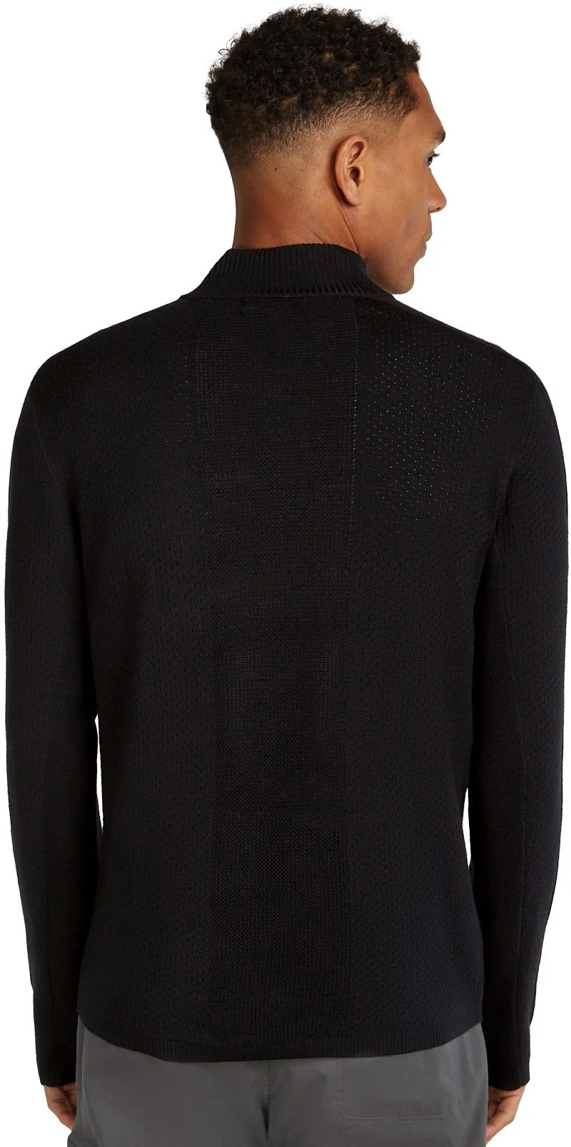 Icebreaker Anniversary Original LS Half Zip - Mens - Image 2
