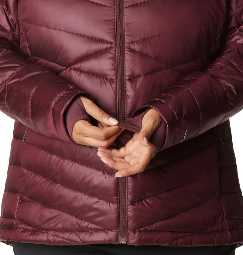 Joy Peak Hooded Jacket - Plus - Womens - Image 15