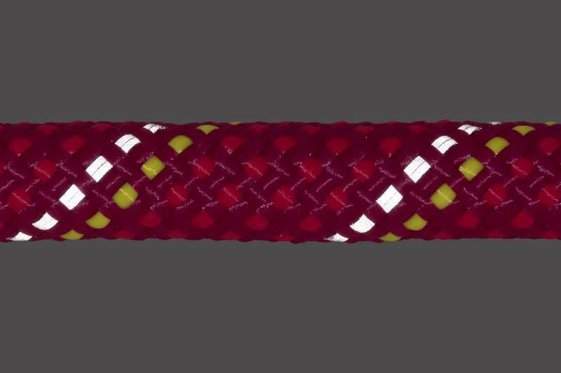 Knot-a-Leash (Prior Season) - Image 18