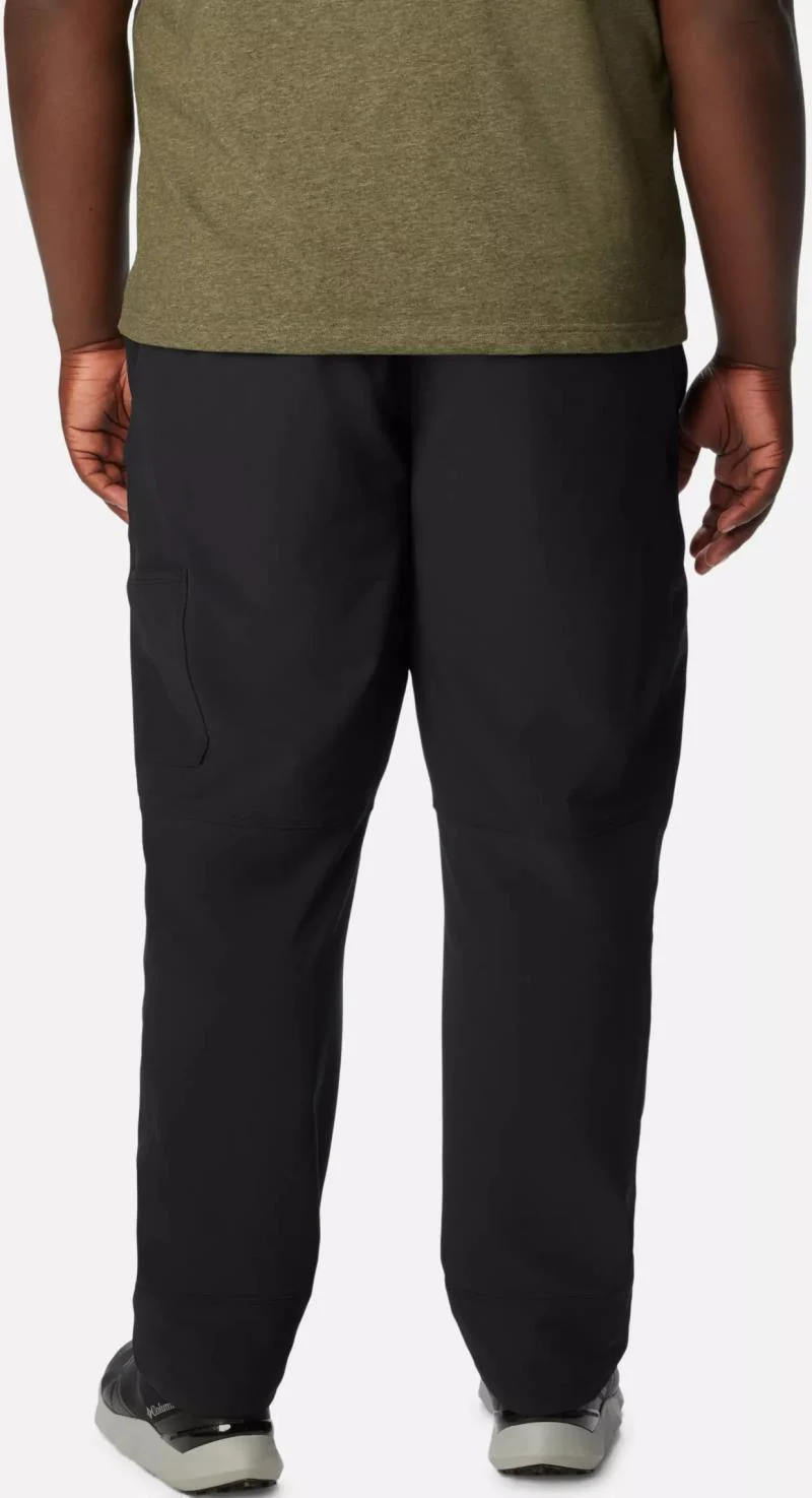 Landroamer Pants, 32" Inseam, Extended - Mens - Image 2