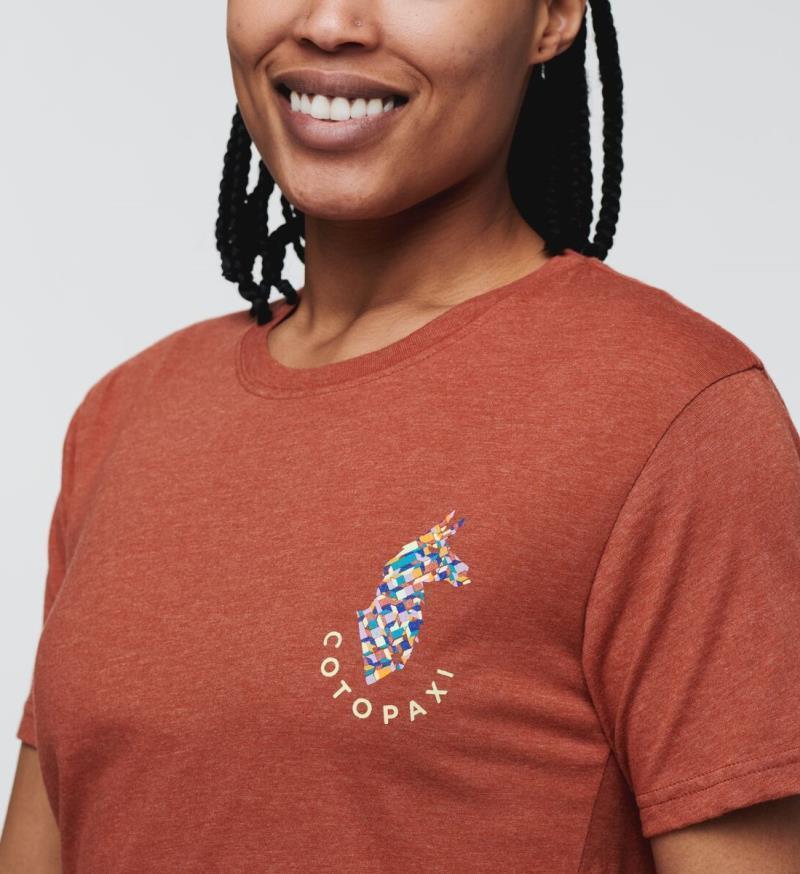 Llama Lover T-Shirt - Womens - Image 8