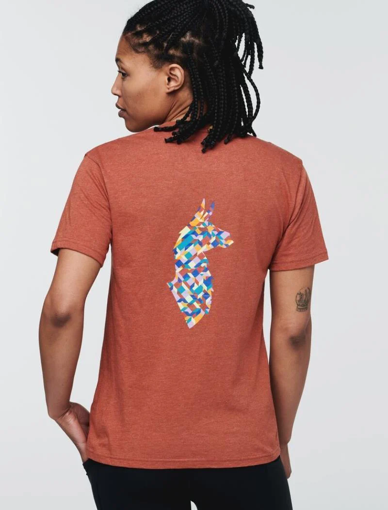 Llama Lover T-Shirt - Womens - Image 9