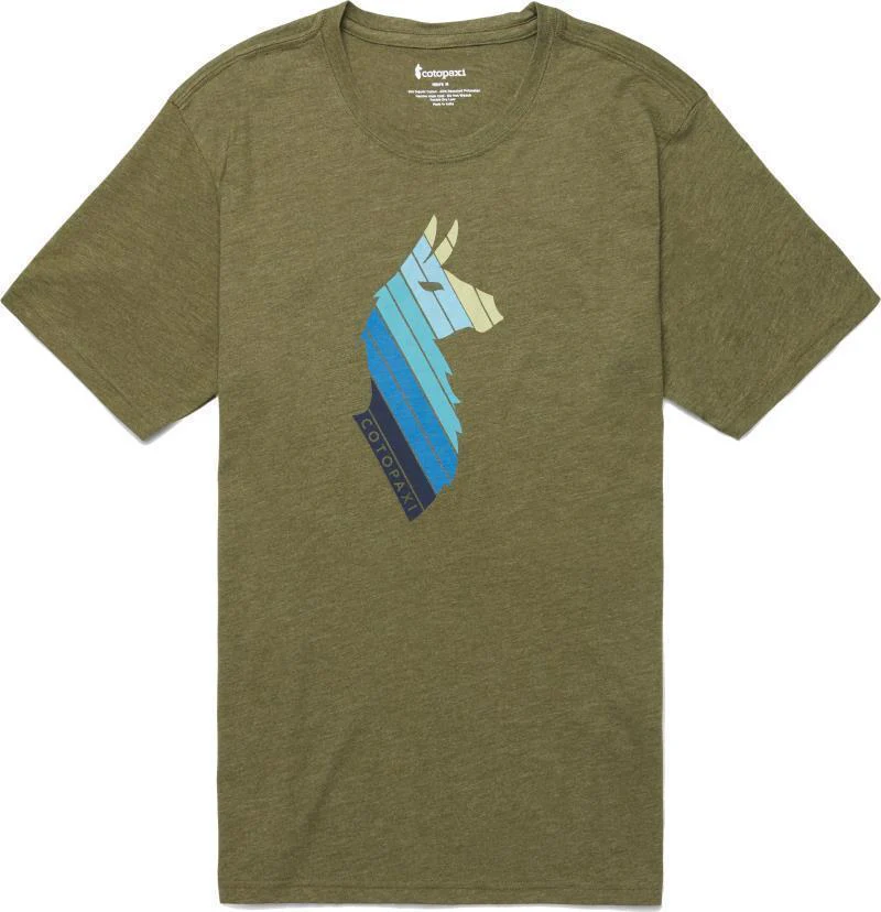 Llama Stripes Organic T-Shirt - Mens - Image 2