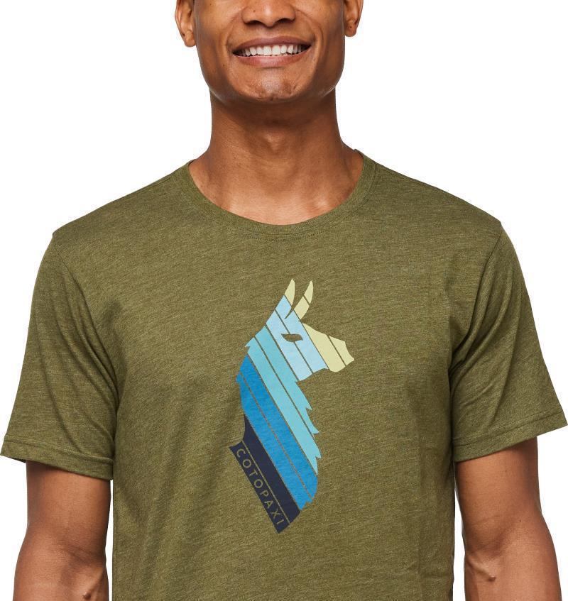 Llama Stripes Organic T-Shirt - Mens - Image 4
