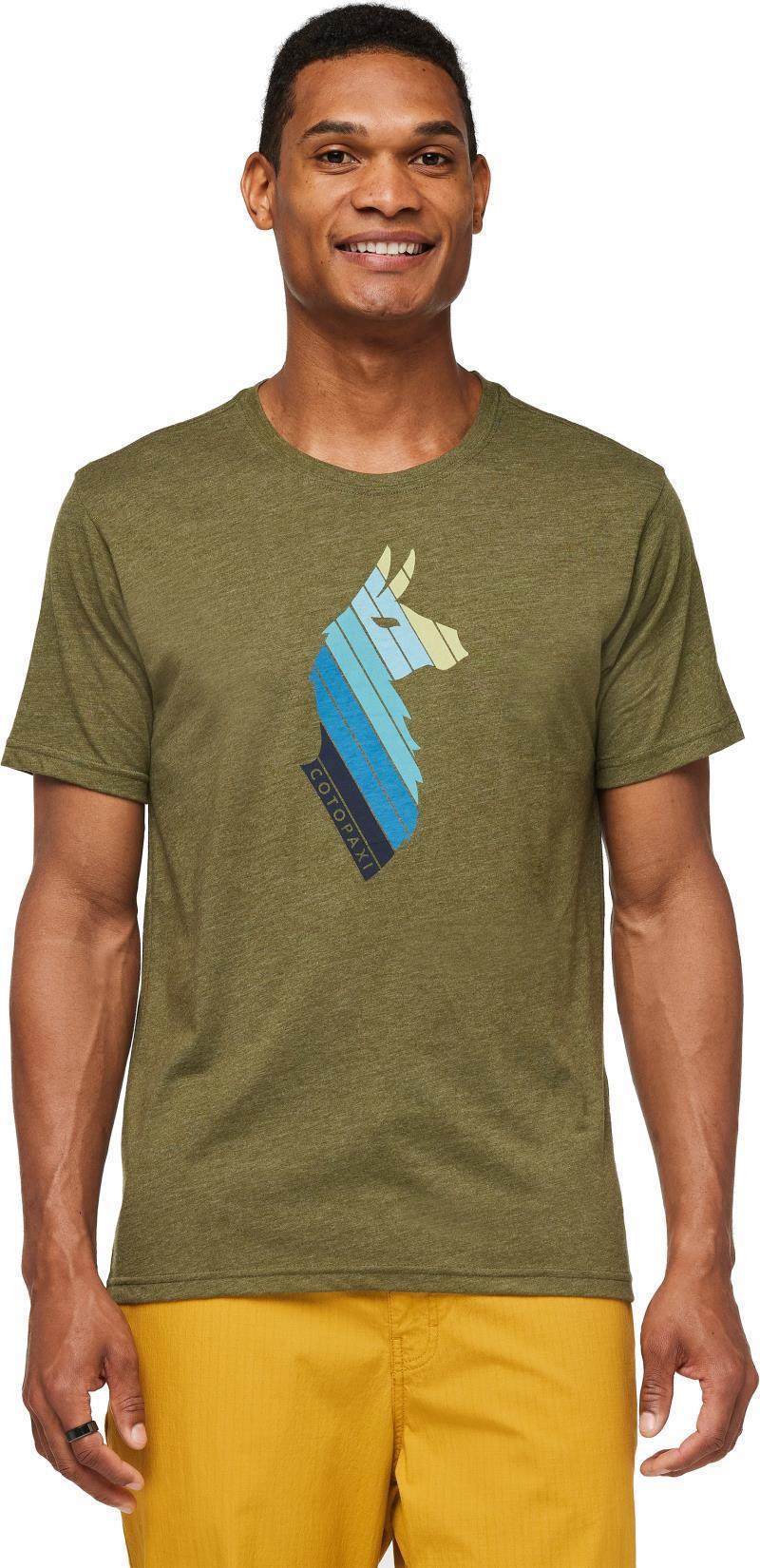Llama Stripes Organic T-Shirt - Mens - Image 5