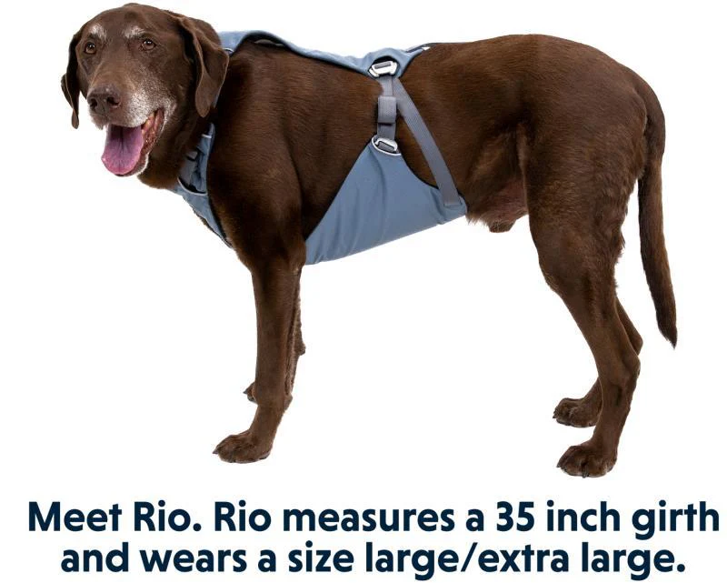 Load Up Harness - Image 5