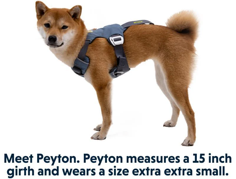 Load Up Harness - Image 6