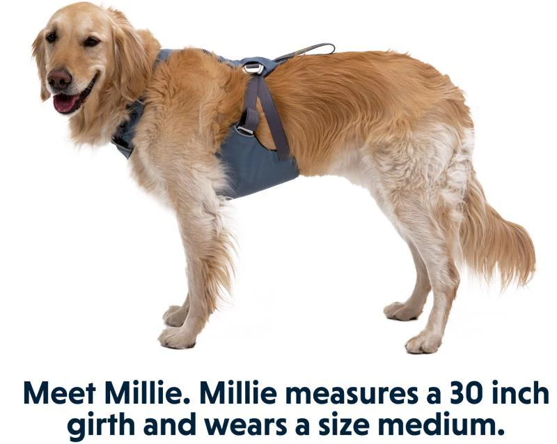 Load Up Harness - Image 7