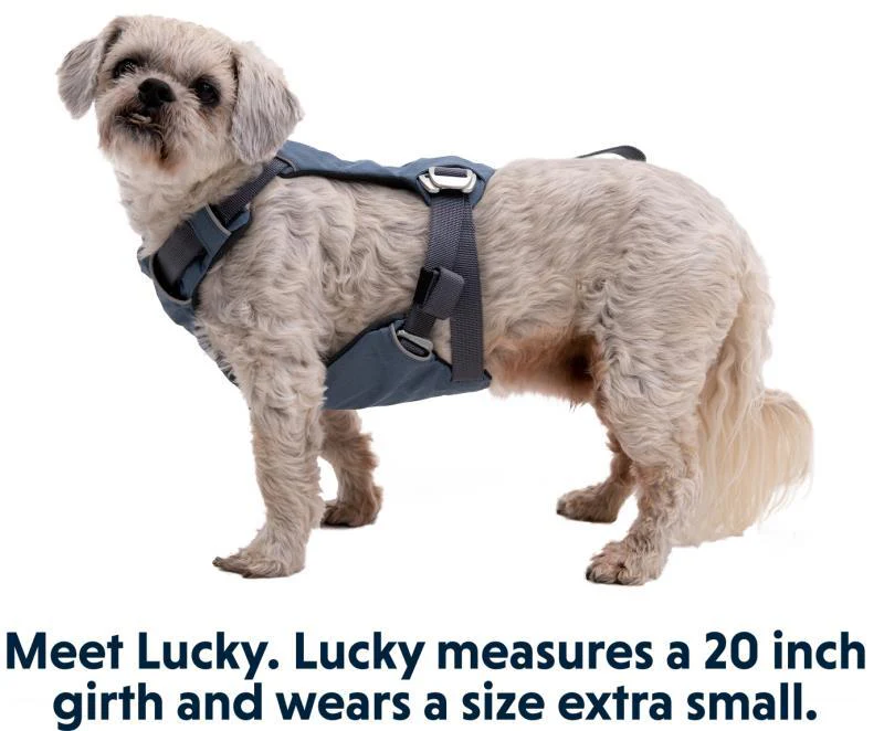 Load Up Harness - Image 8