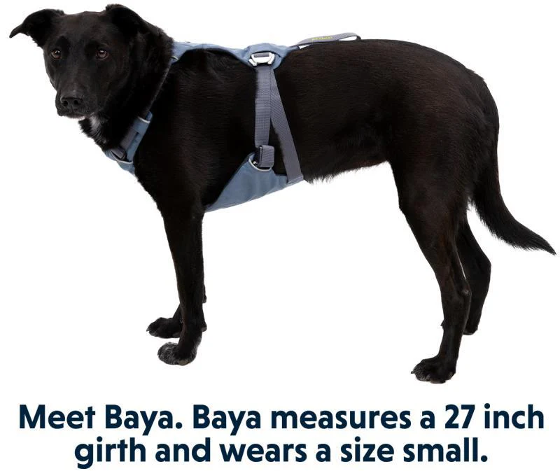 Load Up Harness - Image 9