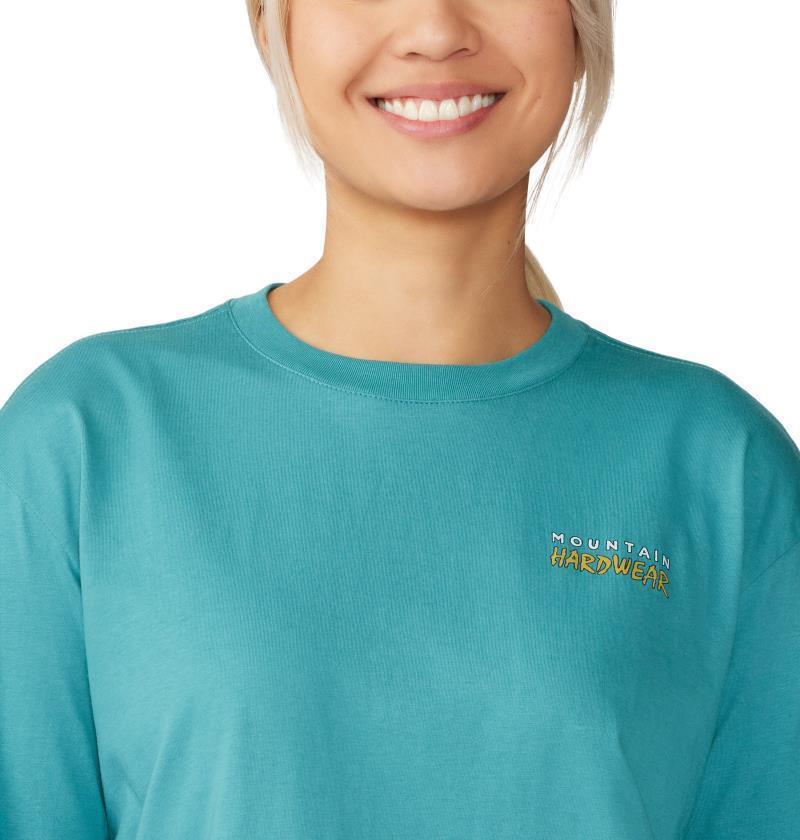 Logo Landscape Boxy LS - Womens - Image 15