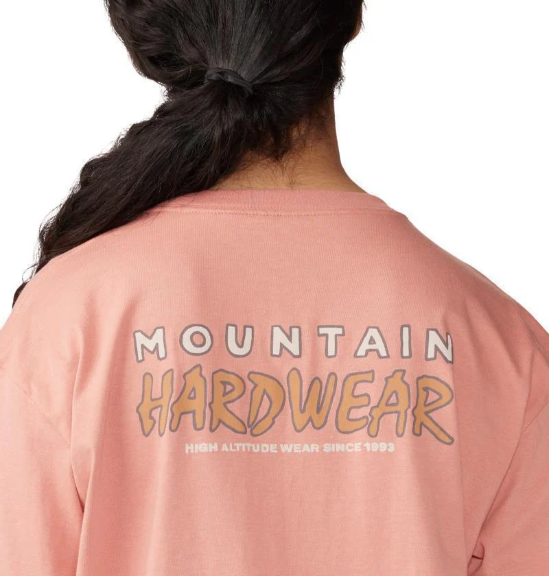 Logo Landscape Boxy LS - Womens - Image 21