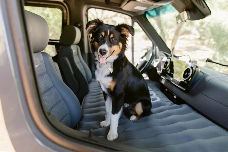 Air Mattress Van Front Cab Configuration - Image 6