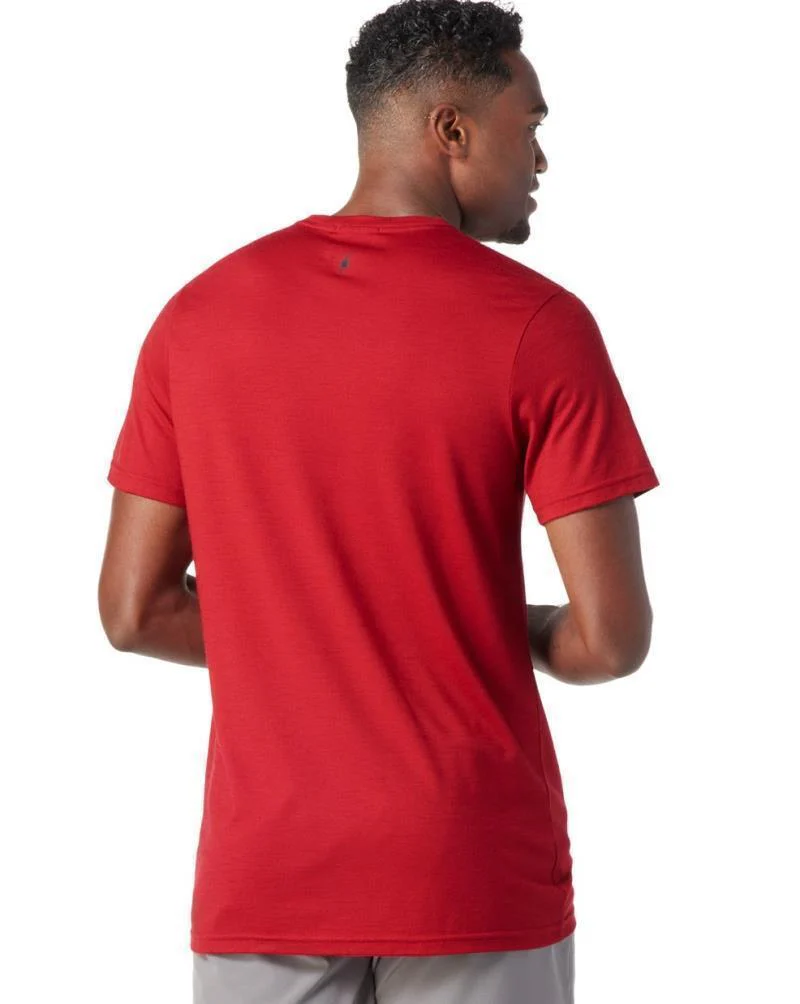 Merino (150) SS Tee - Mens - Image 11
