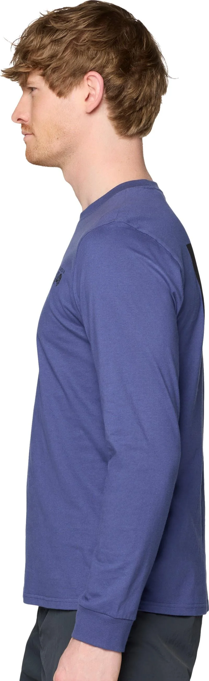 MHW Box Logo LS - Mens - Image 17