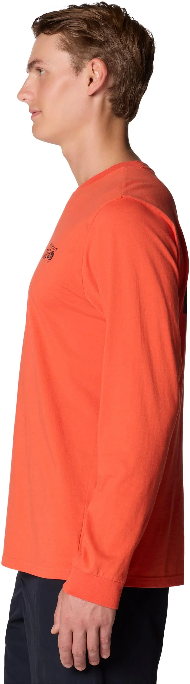 MHW Box Logo LS - Mens - Image 30