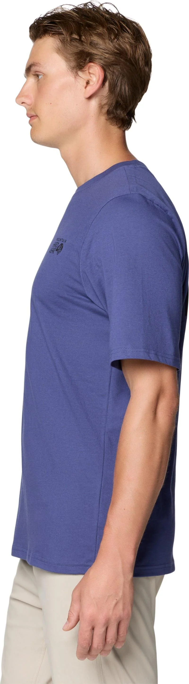 MHW Box Logo SS - Mens - Image 14