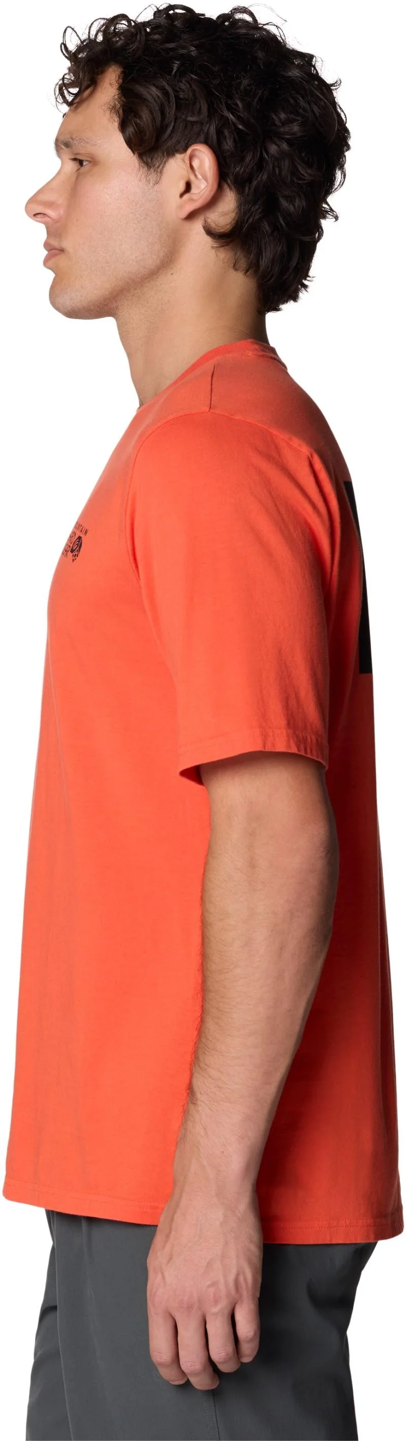 MHW Box Logo SS - Mens - Image 35