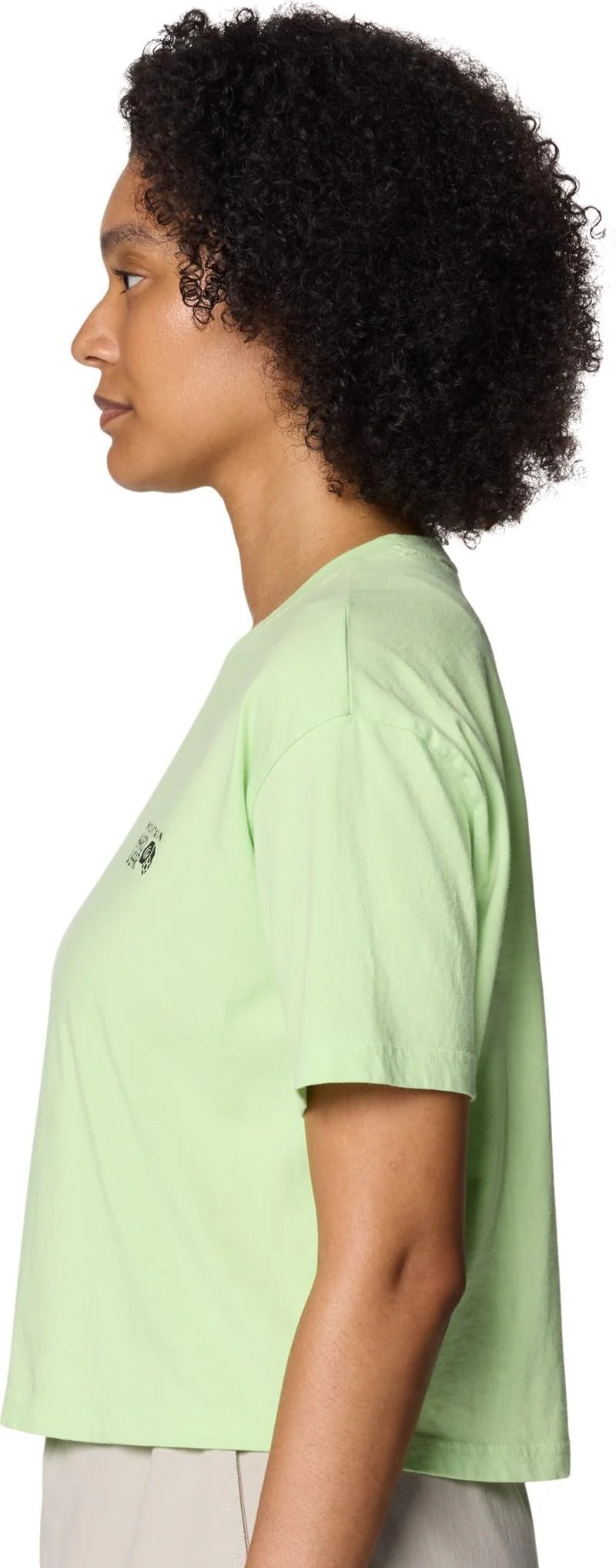 MHW Logo Boxy Crop SS - Womens - Image 14
