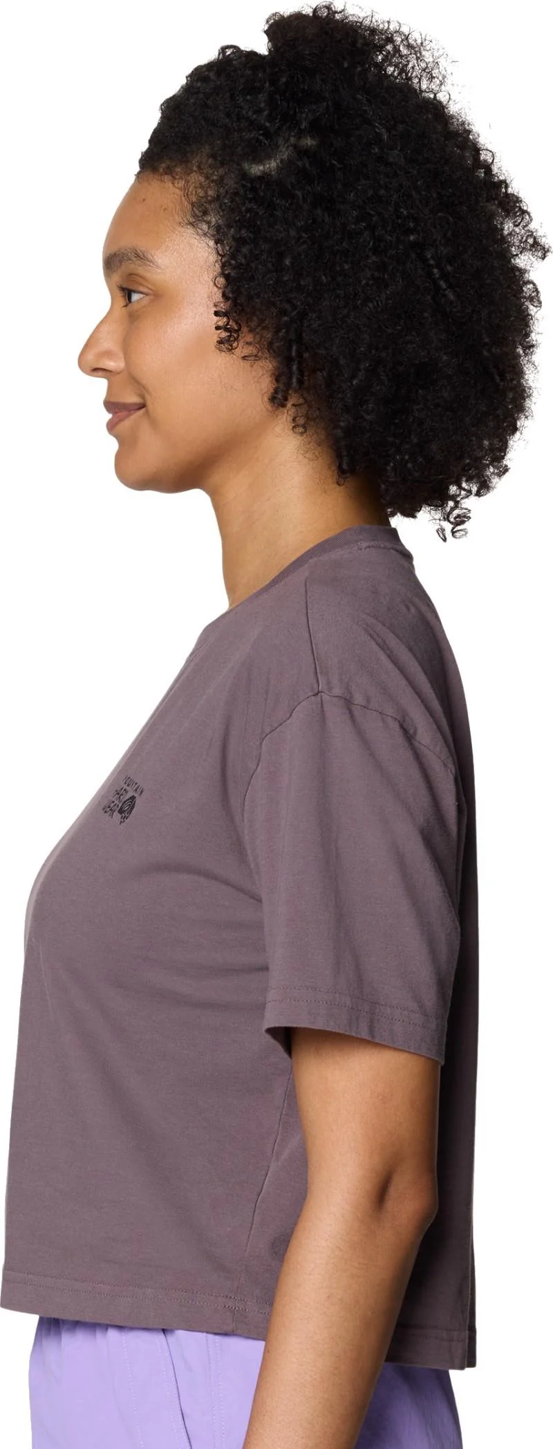 MHW Logo Boxy Crop SS - Womens - Image 19