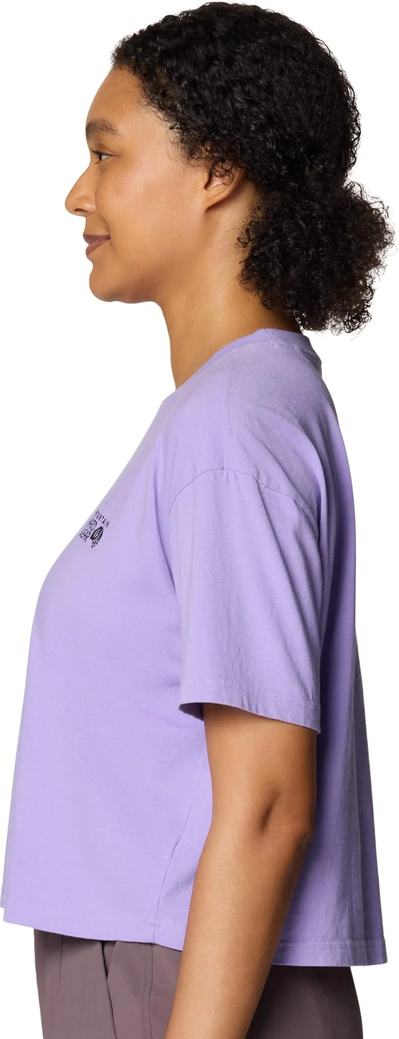 MHW Logo Boxy Crop SS - Womens - Image 25