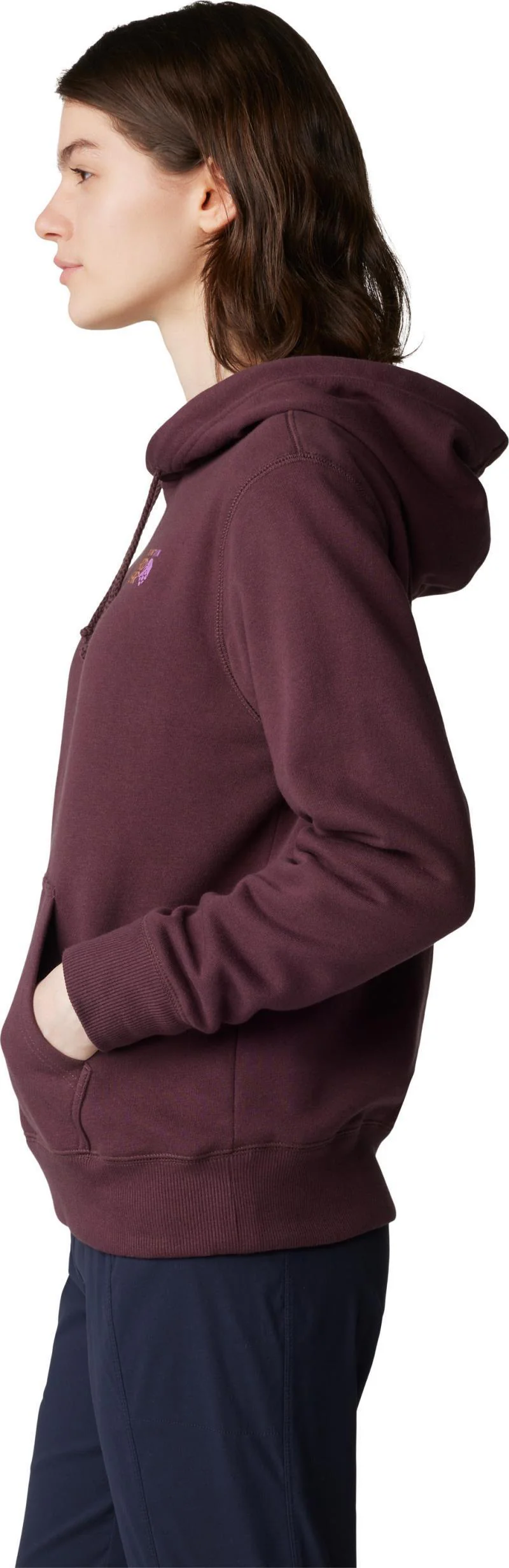 MHW Logo Pullover Hoody - Womens - Image 2