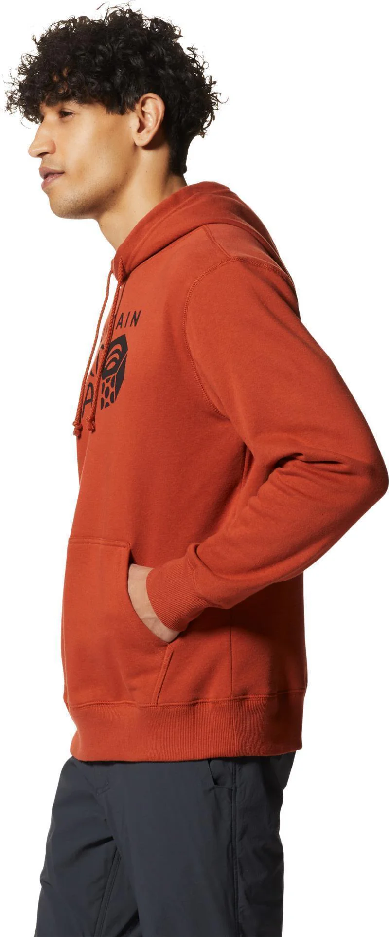 MHW Logo Pullover Hoody - Mens (Prior Season) - Image 11