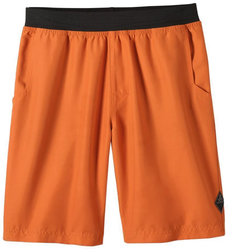 Mojo Shorts, 10" Inseam - Mens (Prior Season) - Image 16