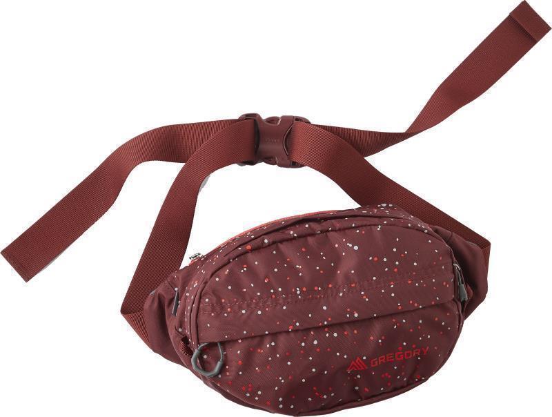 Nano Waistpack - Image 3