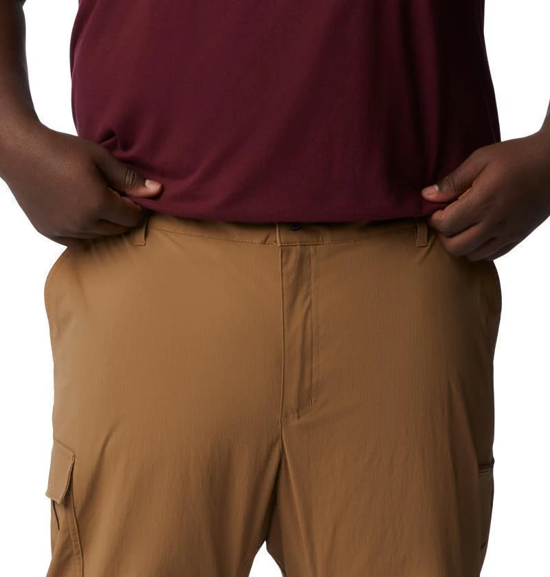 Newton Ridge II Convertible Pants, 30" Inseam - Big - Mens - Image 14