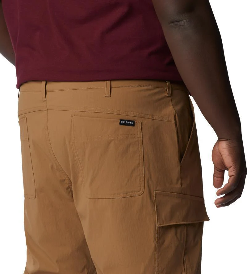 Newton Ridge II Convertible Pants, 30" Inseam - Big - Mens - Image 15