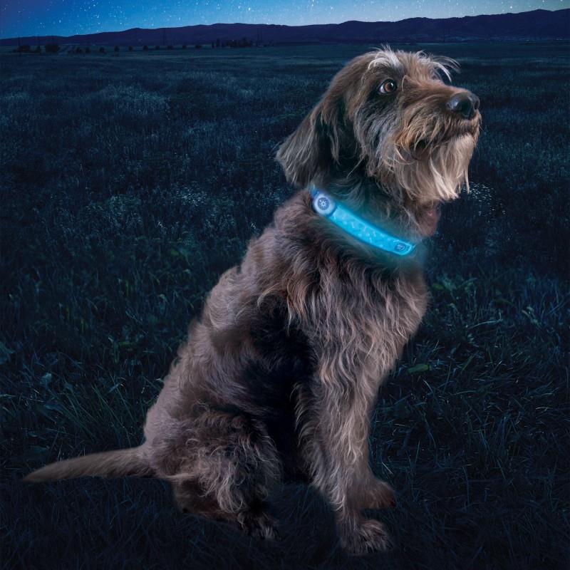 NiteDog Rechargeable LED Collar Cover - Disc-O Select - Image 4