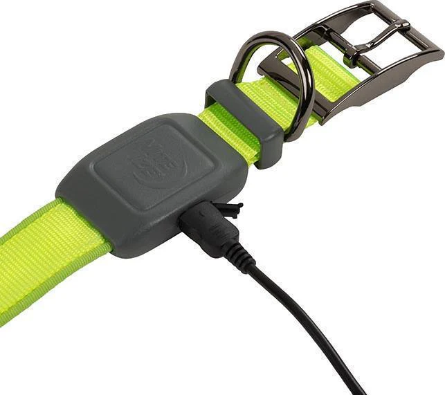 NiteDog Rechargeable LED Collar - S - Image 4