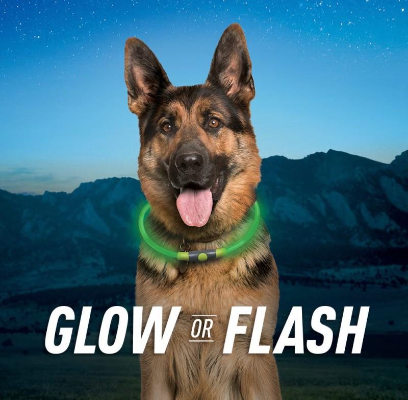 NiteHowl Rechargeable LED Safety Necklace - Image 4