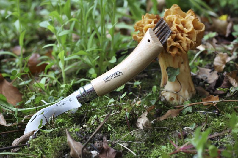 No.8 Mushroom Knife - Image 3