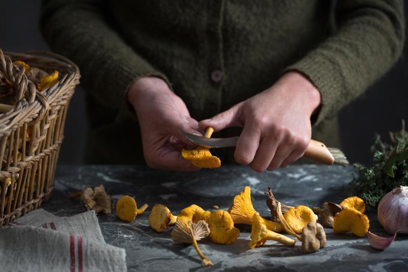 No.8 Mushroom Knife - Image 4