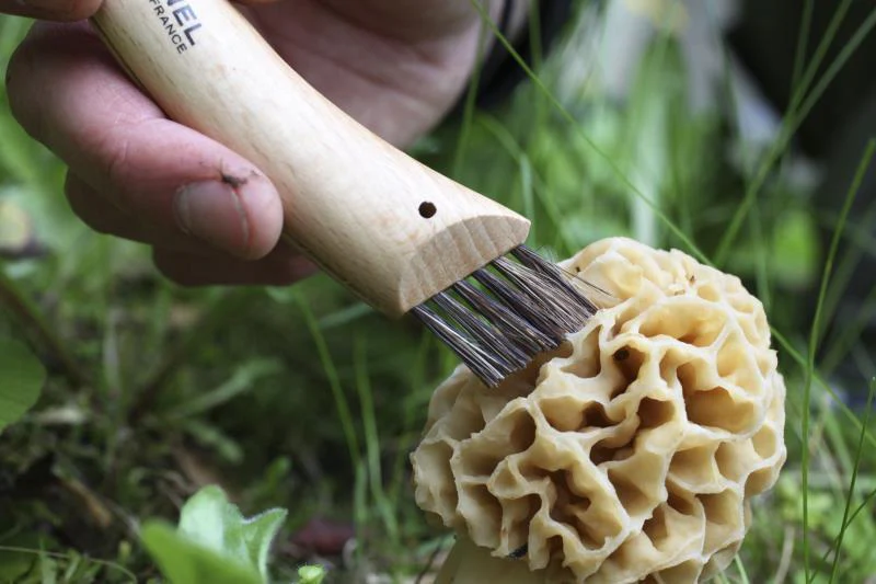No.8 Mushroom Knife - Image 5