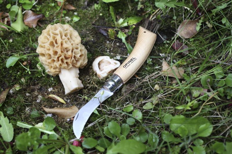 No.8 Mushroom Knife - Image 7