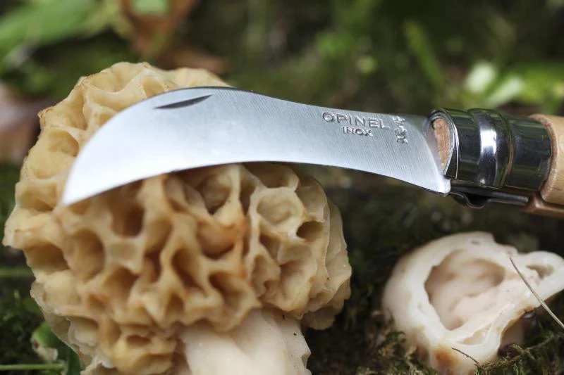 No.8 Mushroom Knife - Image 8