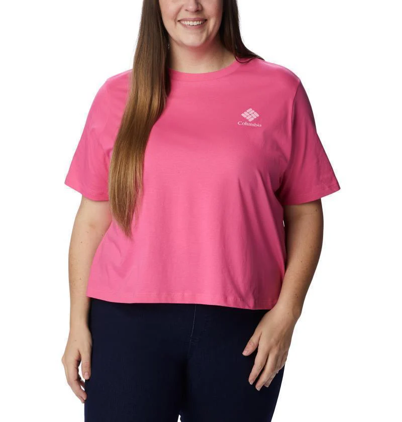 North Cascades Relaxed Tee, Extended - Womens