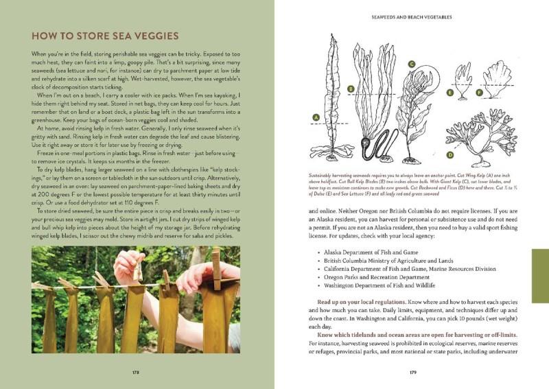 Pacific Harvest - Image 3