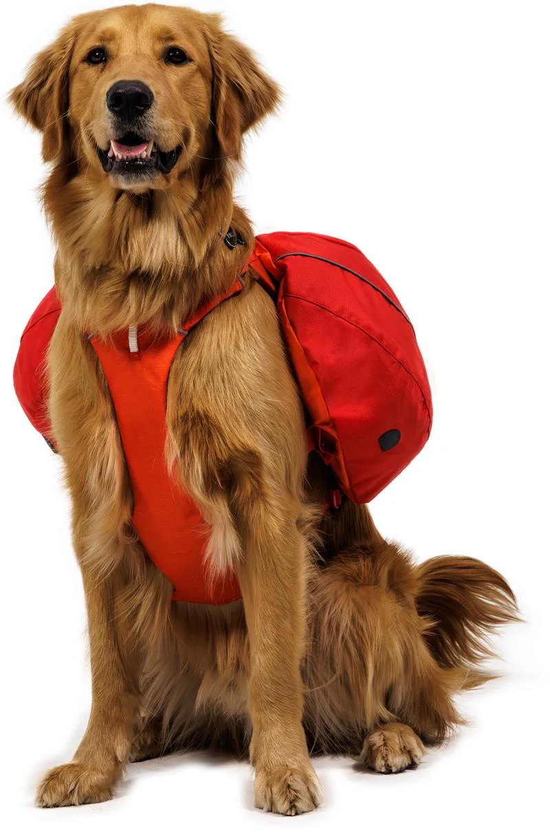 Palisades Pack - Image 10