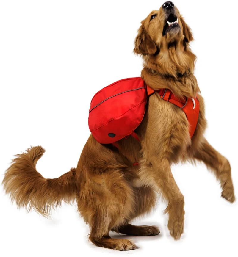 Palisades Pack - Image 9