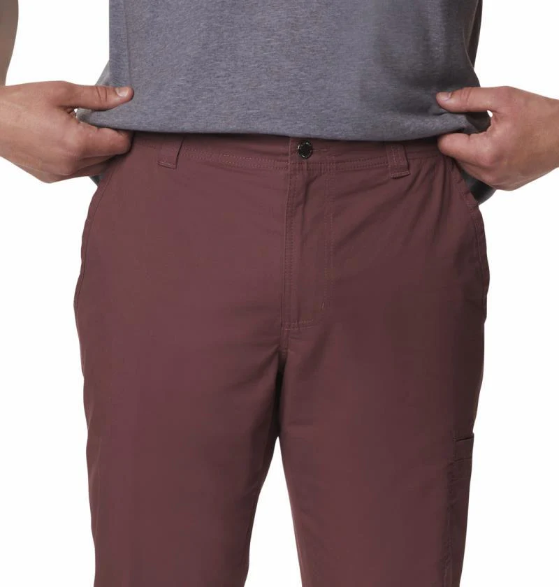 Pine Canyon Pants, 30" Inseam - Mens - Image 4