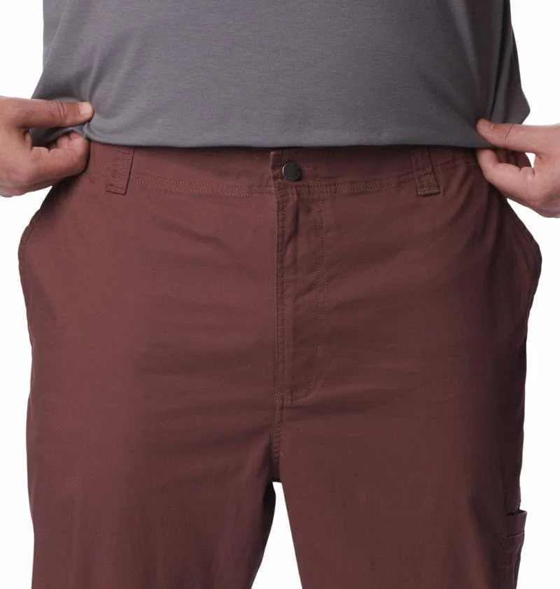 Pine Canyon Pants, 32" Inseam - Big - Mens - Image 4