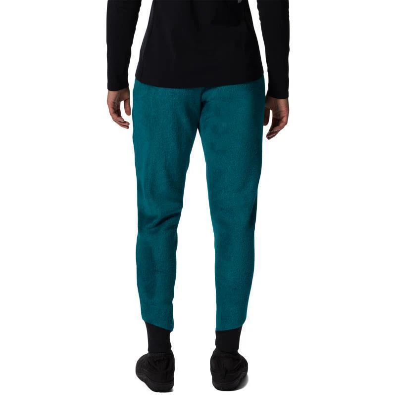 Polartec High Loft Pants, Reg - Womens (Prior Season) - Image 20