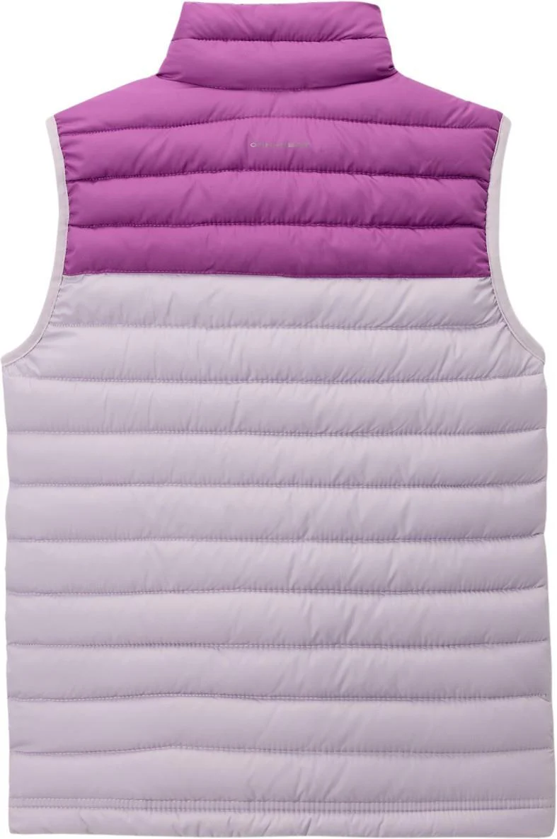 Powder Lite Vest - Youth - Image 8